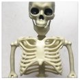 thumbnail image 2 of Halloween Skeleton Decorations with Posable Joints Skeletons for Halloween Party Haunted House Props Decorations, 2 Packs, Style 2, 2 of 9