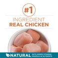 thumbnail image 4 of Purina ONE Chicken & Rice, Dry Cat Food 3kg, 4 of 10