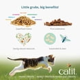thumbnail image 2 of Catit Nuna Insect Protein & Chicken Cat Treats 60g, 2 of 10