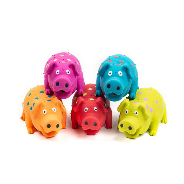 Vibrant Life Pigglesworth Latex Dog Toy set of five pig-shaped chew toys in vibrant colours including pink, blue, orange, red, and yellow with polka dots. Made of latex with squeakers, easy to clean, ideal for gentle chewers, shown on a white background.