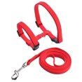 thumbnail image 4 of 2 Ensembles Harnais Leashes pour Animaux de Compagnie Ajustables Sangle en Nylon Robuste Cat Leashes avec Harnais pour la Marche, 4 of 8