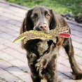 thumbnail image 1 of Dog Toy, Plush Dog Toy, Soft Plush Built-In Sounding Device  Protection For Pet Dog Brown, 1 of 8