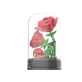 thumbnail image 3 of Plante de La Vie Eternal Series - Affection, 3 of 4