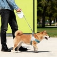 thumbnail image 3 of Laisse Rétractable pour Chien avec Sangle Extensible, Poignée et Mécanisme de Verrouillage à Pause pour la Marche Extérieure, l'Entraînement et le Contrôle en Voyage, 3 of 6