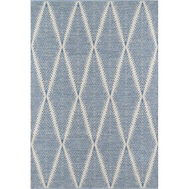Erin Gates RIVERRIV-1DNM2030 Tapis Rectangulaire Tissé à la Main, Denim - 2 x 3 Pieds
