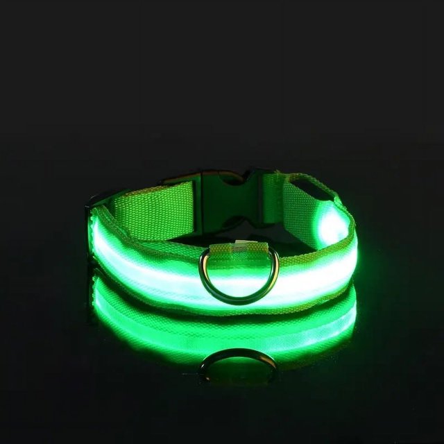 Pet Collar Cat Luminous Pet LED No Printed Luminous Safety Collar for Cats Dogs