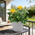 thumbnail image 1 of Dvkptbk Ripples Circular Flowerpot Potted Home Gardening Balcony Succulents Plants Pot organization and storage, 1 of 6