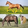 thumbnail image 4 of kurtrusly Housses de Pattes de Cheval Anti-Mouches Cheval Confortables et Sécuritaires Insectes Ces Housses de Pattes de Cheval Sont Compactes Rose, 4 of 6