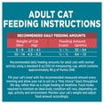 thumbnail image 3 of Purina ONE Salmon & Rice, Dry Cat Food 1.6kg, 3 of 9