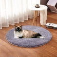thumbnail image 2 of Long Service Life Pet Mat, Professional Manufacturing Pet Electric Blanket, For Small Dogs Silver Gray, 2 of 8