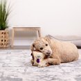 thumbnail image 2 of TrustyPup PBJ Plush Dog Toy, 2 of 5