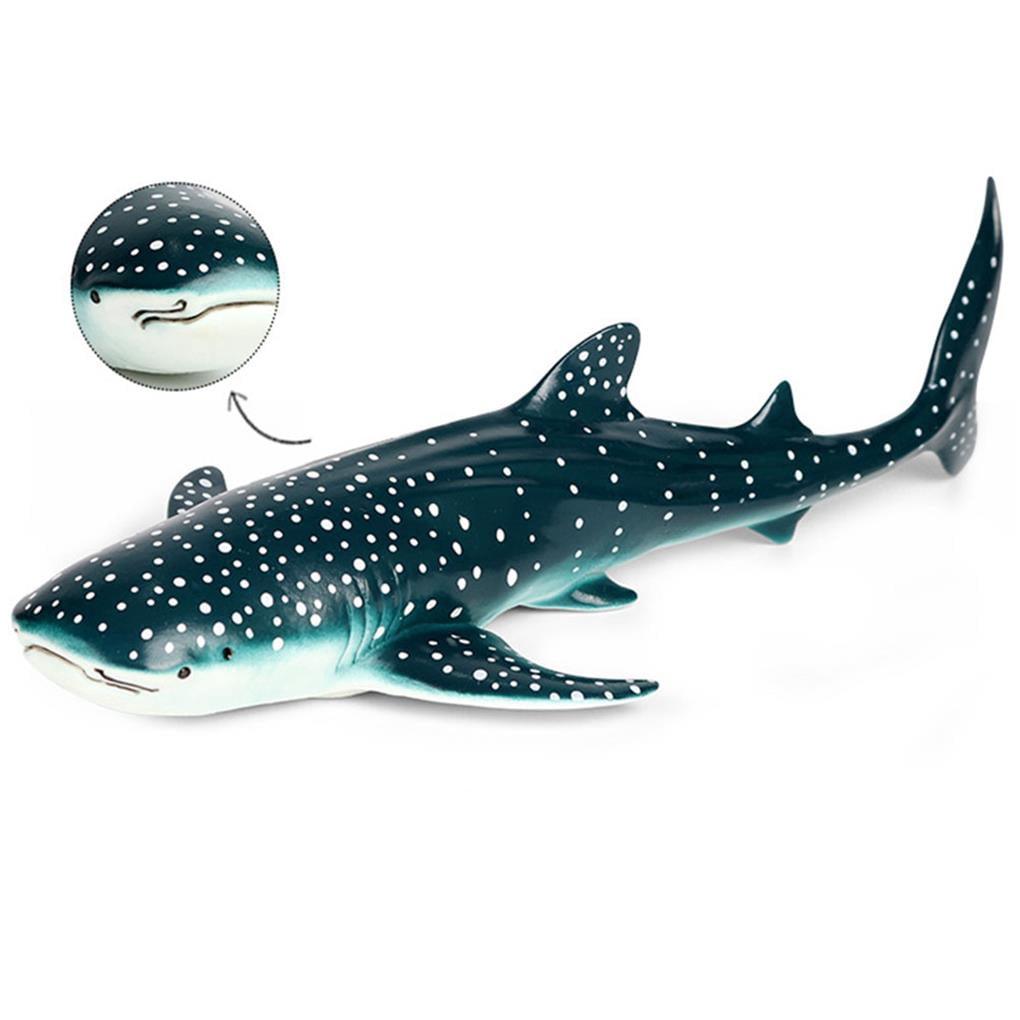 Wweixi Modèle d'Animal Marin de Simulation Requin Grande Bosse Grande Droite Jouets No.2