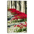 thumbnail image 2 of Fleurs de Tulipe Sauvages dans un Pâturage Forestier - Impression sur Toile Florale, 2 of 3