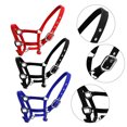 thumbnail image 3 of tredstone Collier de Tête de Poney Rembourré Grande Résilience Protection Artisanat Antirouille Solidité Équipement Fournitures de Cheval Solidité Selle de Course Rouge G, 3 of 9