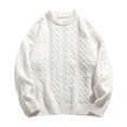 thumbnail image 2 of Cameland Chandail d'Hiver Épais Décontracté Mode Couleur Unie Texture Manches Longues Col Rond pour Hommes, 2 of 4