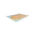 thumbnail image 3 of Alfa Rich 7x10 Tapis Réversible Rose Orange Turquoise pour Décoration de Chambre Lavable en Coton Adapté aux Animaux, 3 of 4