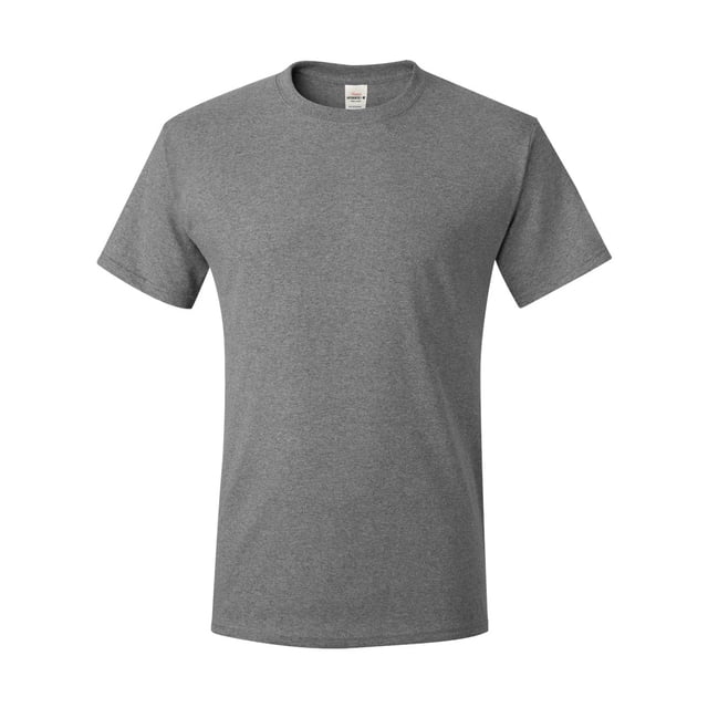 Hanes T-Shirt Authentic-T pour Hommes