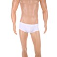 thumbnail image 1 of EOYWHK Shiny Boxer Briefs for Men Nylon Stretch Boxers Low Rise Seamless Tight Nightclub Underwear, 1 of 7