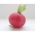 thumbnail image 1 of 2000 Graines de Radis Géant Cramoisi Raphanus Sativus Légumes, 1 of 2