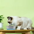 thumbnail image 5 of Silicone Stainless Steel Pet Dog Bowl Water Basin Anti-Slip Bottom Large Capacity, 5 of 5