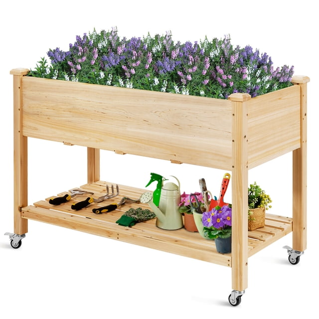 Gymax Bac de Jardin Surélevé en Bois avec Roues Verrouillables, Fabriqué en Bois de Sapin Naturel durable. le Bac de Jardin Surélevé Présente une Spacieuse Zone de Plantation Remplie de Fleurs Violettes et Blanches Vibrantes, une Tablette Inférieure Ajourée pour Ranger les Outils et pots de Jardinage, et des Trous de drainage pour l'Élimination de l'Excès d'Eau. Conçu à une Hauteur de 33 Pouces pour un Jardinage Ergonomique, Il Est Idéal pour les patios, les Cours Arrière et les Balcons.