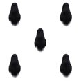 thumbnail image 1 of ZheElen Perruques Synthétiques pour les Cheveux Naturels Perruque Synthétique Résistante Longue Perruque de Cheveux Raides Facile à Porter 9582-19 5Set, 1 of 6
