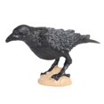 thumbnail image 3 of Luzkey Miniature Parrot Bird Animal Sculpture Learning Tools Realistic Science Animals Learning Parrot Figurines Toy Micro Landscape, 3 of 8