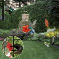 thumbnail image 1 of Courtyard Bird Feeder,Red Berries Hummingbird Feeder, 1 of 8