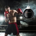 thumbnail image 2 of Goplus 18" 110Lbs Heavy Water Filled Punching Aqua Training Boxing Bag Home Gym Hook, 2 of 10