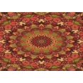 thumbnail image 1 of Ahgly Company Tapis d'Intérieur Lavables en Machine, Rectangulaires, Zone Rouge, 2' x 3', 1 of 7
