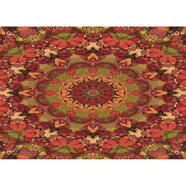 Ahgly Company Tapis d'Intérieur Lavables en Machine, Rectangulaires, Zone Rouge, 2' x 3'