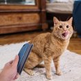 thumbnail image 4 of Milisten 2Pcs Pet Brush for Dog and Cat Hair Removing with ABS Bristles and Massaging Comfort, 4 of 5