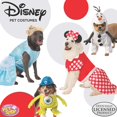 thumbnail image 1 of Hocus Pocus Winifred Sanderson Dog Costume, 1 of 4