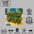 thumbnail image 4 of Novelty Lights 4x6 LED Net Lights, 100 Warm White Bulbs, Green Wire, 4 of 6