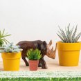 thumbnail image 3 of MasteelfCA 1 Box Static Flower Tuft Strip Flower Tuft Railway Miniature Artificial Grass Plant, 3 of 8