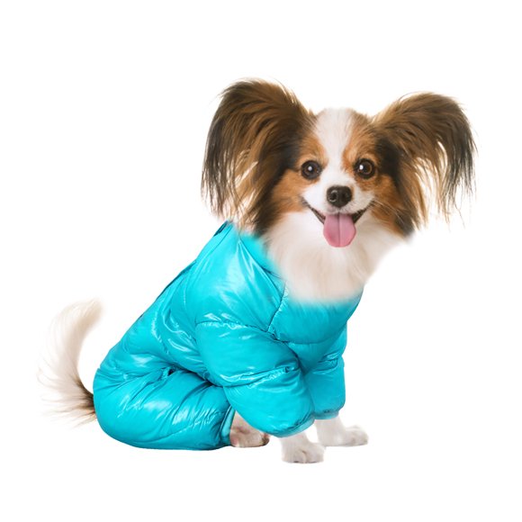 Agiferg Pet clothes waterproof cloth down solid color four-legged shirt with buckle