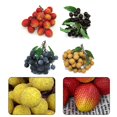 thumbnail image 3 of Artificial Fruit, Lifelike Decorative Fruits, Artificial Blueberries Simulation Lychee Longan Fake Grapes for Home Kitchen Wedding Office Party Decor, Photography Props, 3 of 5
