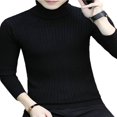 thumbnail image 1 of Men Turtleneck Sweater Pullover Knitted Top Streetwear, 1 of 5