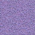 thumbnail image 1 of Ahgly Company Tapis d'Intérieur Lavable à la Machine, Carré, Transitionnel, Violet Mimosa Violet, Tapis de Zone, 6 Pieds Carré, 1 of 7