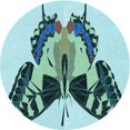 thumbnail image 1 of Ahgly Tapis Rond Lavable en Machine Intérieur Transitionnel Bleu Lagon, 3 Pieds Rond, 1 of 7