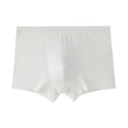thumbnail image 4 of DPTALR Culottes en Soie Glacée Culottes Respirantes Boxeurs en Maille de Nylon, 4 of 4