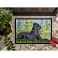 thumbnail image 3 of Carolines Treasures SS8682JMAT Paillasson Cane Corso 24 x 36 Po., 3 of 4