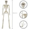 thumbnail image 3 of ZTTD 1 PCS Posable Halloween Skeleton Decor 36 Inches, Full Body Posable Joints Hanging Skeletons for Halloween Decorations, Graveyard Props, Haunted House Accessories, Front Lawn (Style2-Beige), 3 of 7