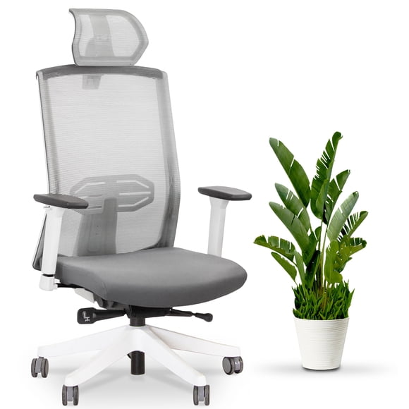 EFFYDESK KarmaChair Best Ergonomic Office Chair with Adjustable Lumbar-Support and Mesh Back (White)