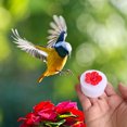 thumbnail image 3 of Hummingbird Feeder, Mini Hummingbird Feeder Port for DIY Outdoor Hanging, Compact Handheld Feeder for Garden, Patio and Window Use, 3 of 9