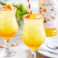 thumbnail image 2 of Monin 1 Litre Sirop de Fruit de la Passion Premium, 2 of 2