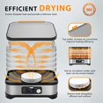 thumbnail image 4 of VIVOHOME Electric 400W 5 Trays Food Dehydrator Machine with Digital Timer and Temperature Control for Fruit Vegetable Meat Beef Jerky Maker BPA Free, 4 of 5