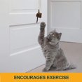 thumbnail image 3 of Pet Zone Play N Squeak Batting Practice Interactive Mouse Door Hanger Cat Toy, 3 of 7