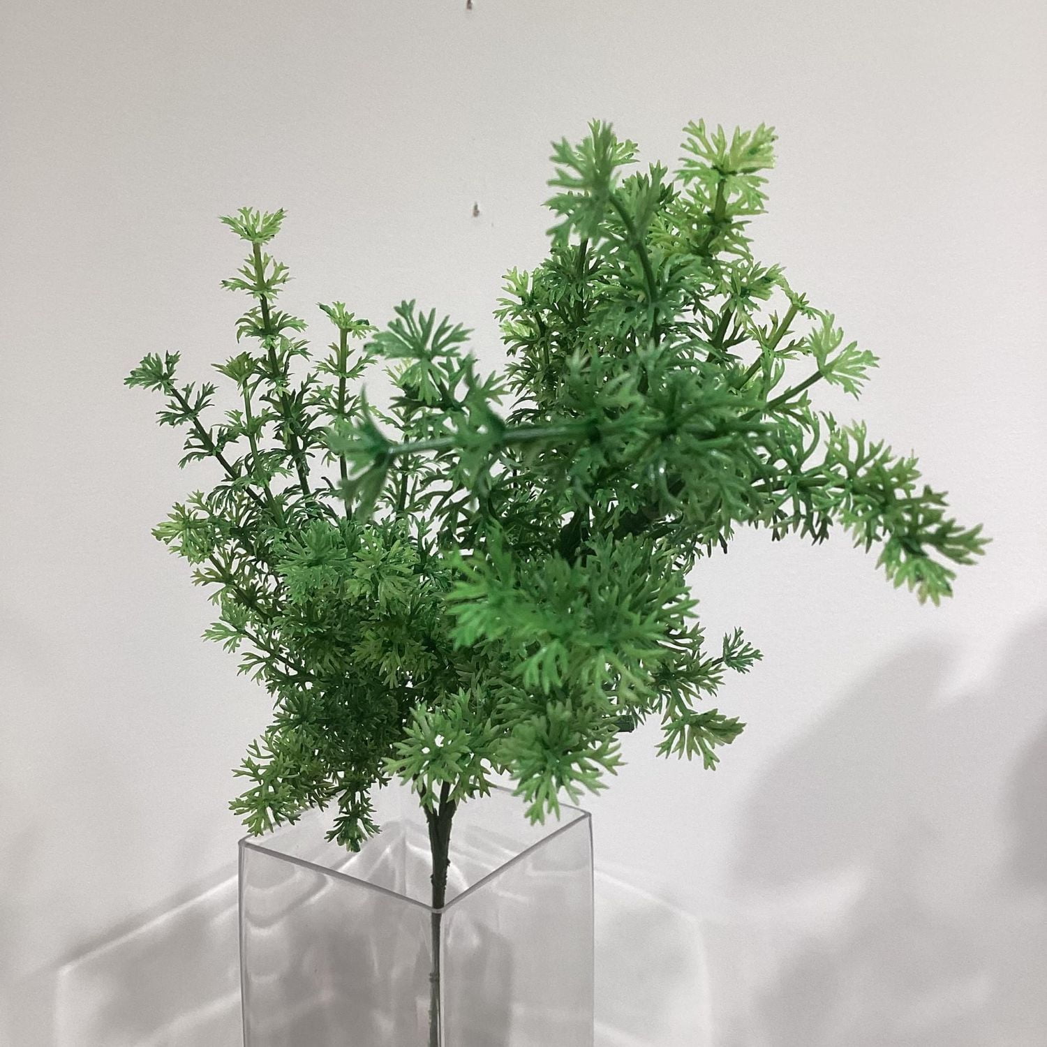 Parsley Spray