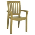 thumbnail image 1 of Compamia Sunshine Chaise de Salle à Manger de Patio en Résine avec Accoudoirs, Brun Teck, 1 of 1